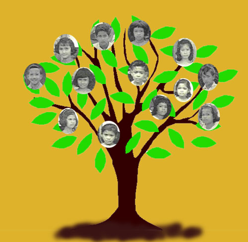 tree_real.jpg